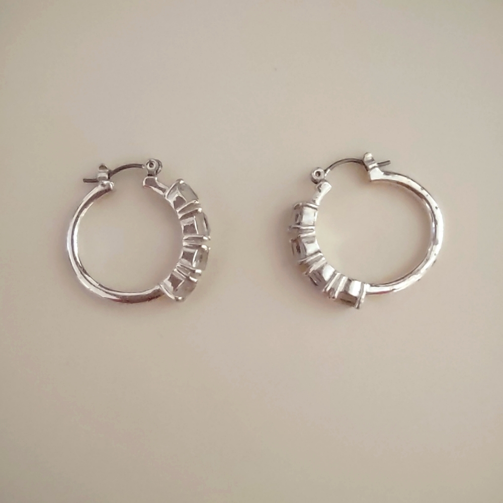 Elegant Silver Hoop Earrings